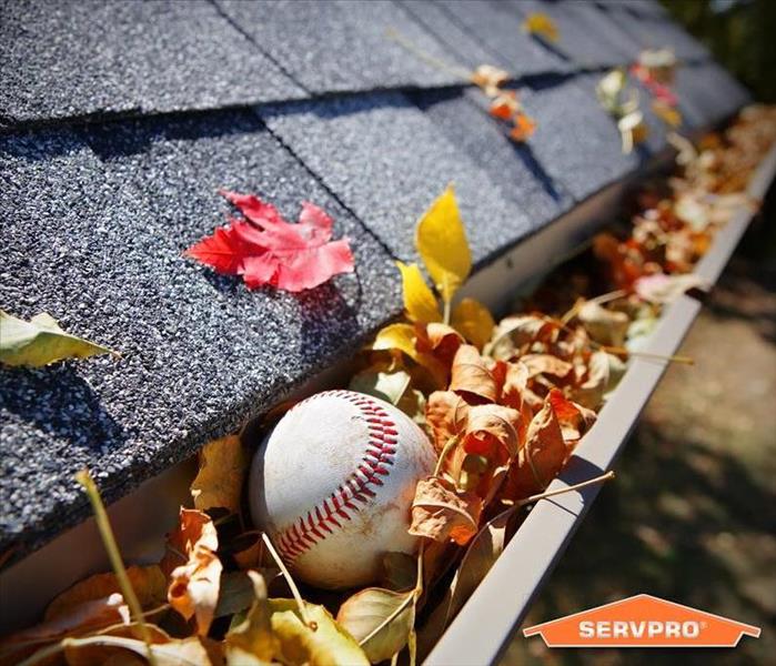 a roof with clogged gutters from leaves and a baseball